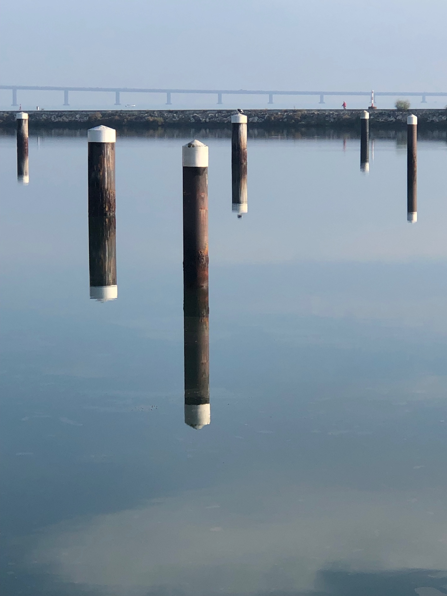 Lisbon, calm water with wooden posts
